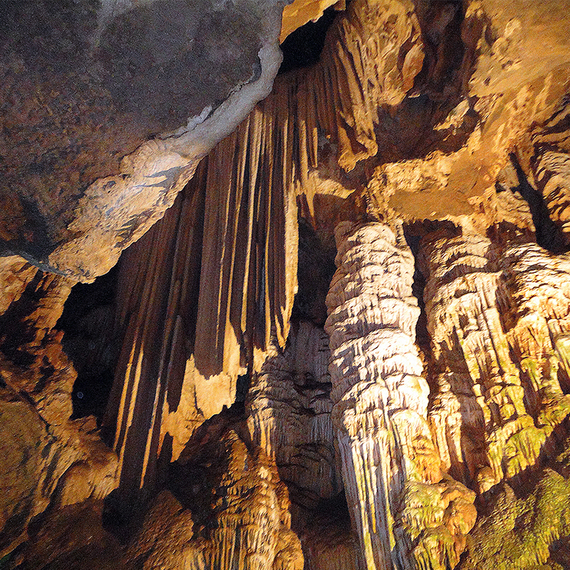Wulong